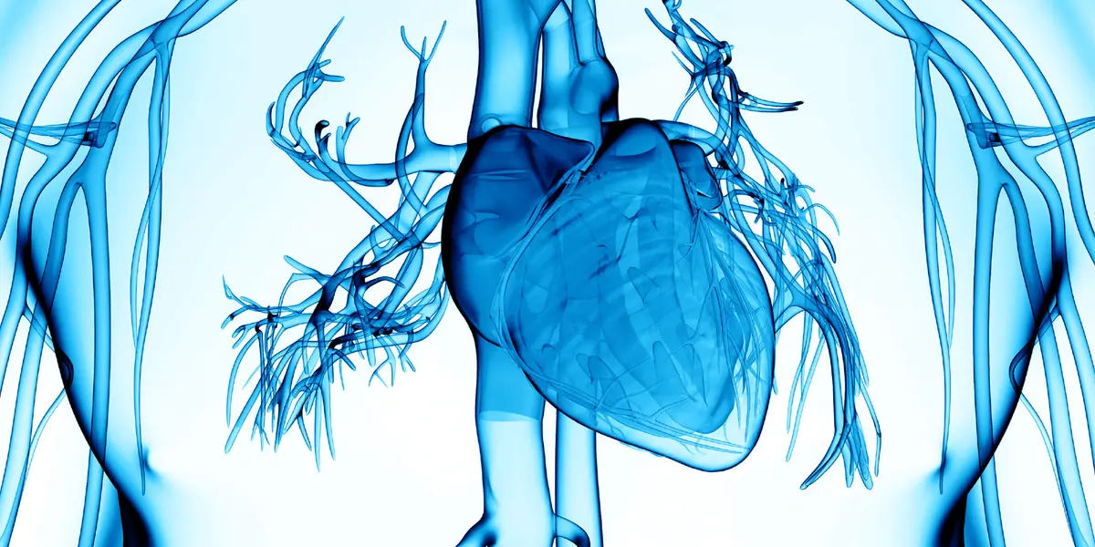 Kardiologie Symposium 2027